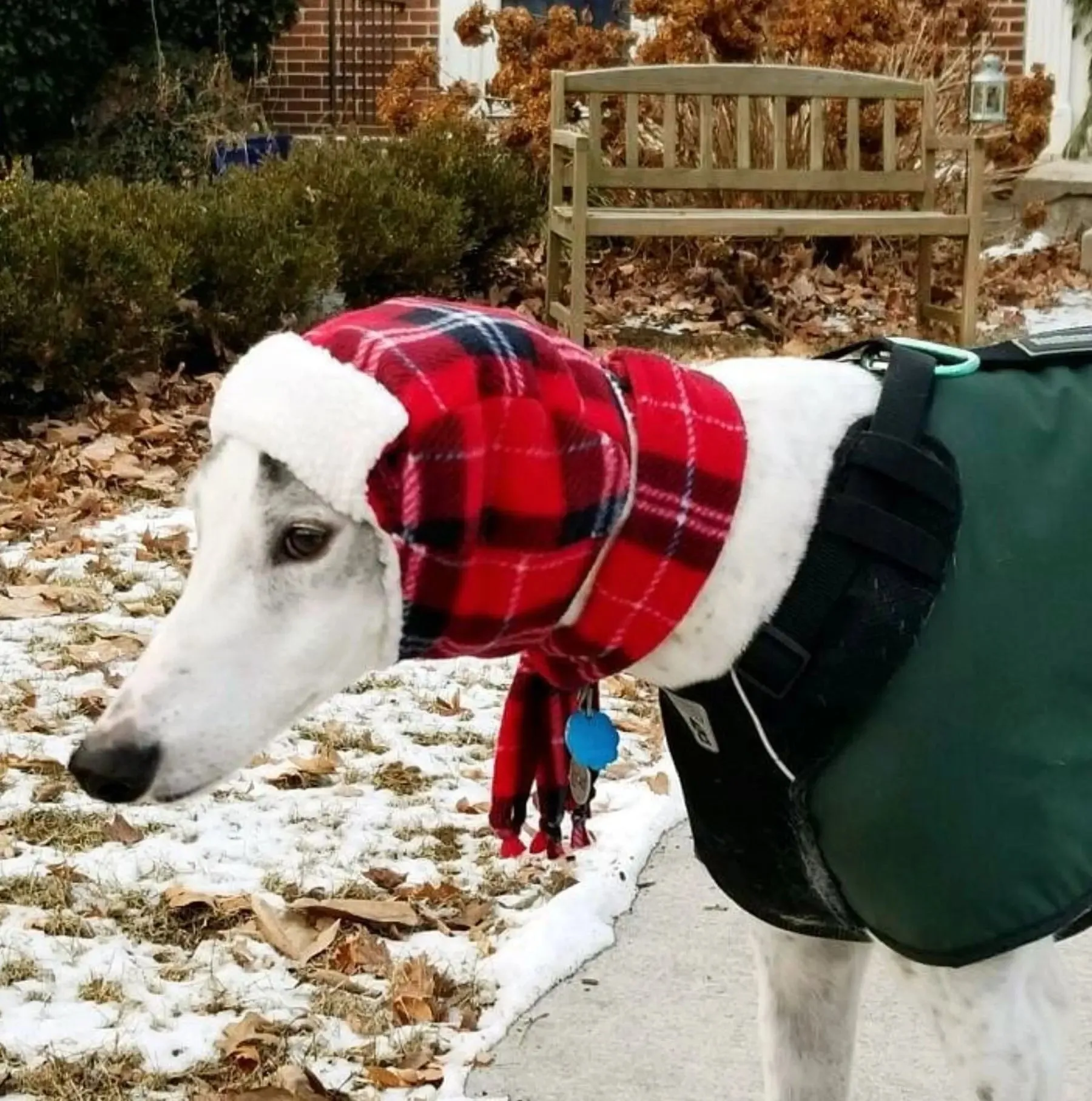 Aviator Dog Hats and Scarves Sets Fleece Prints Up to 100  LBS