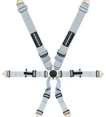 Schroth Flexi 2x2 Racing Harness (6 Point)