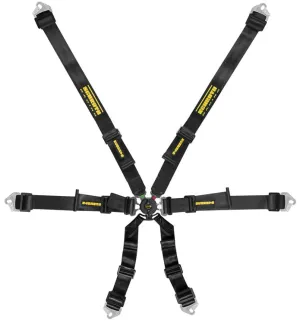 Schroth Flexi 2x2 Racing Harness (6 Point)