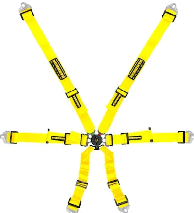 Schroth Flexi 2x2 Racing Harness (6 Point)